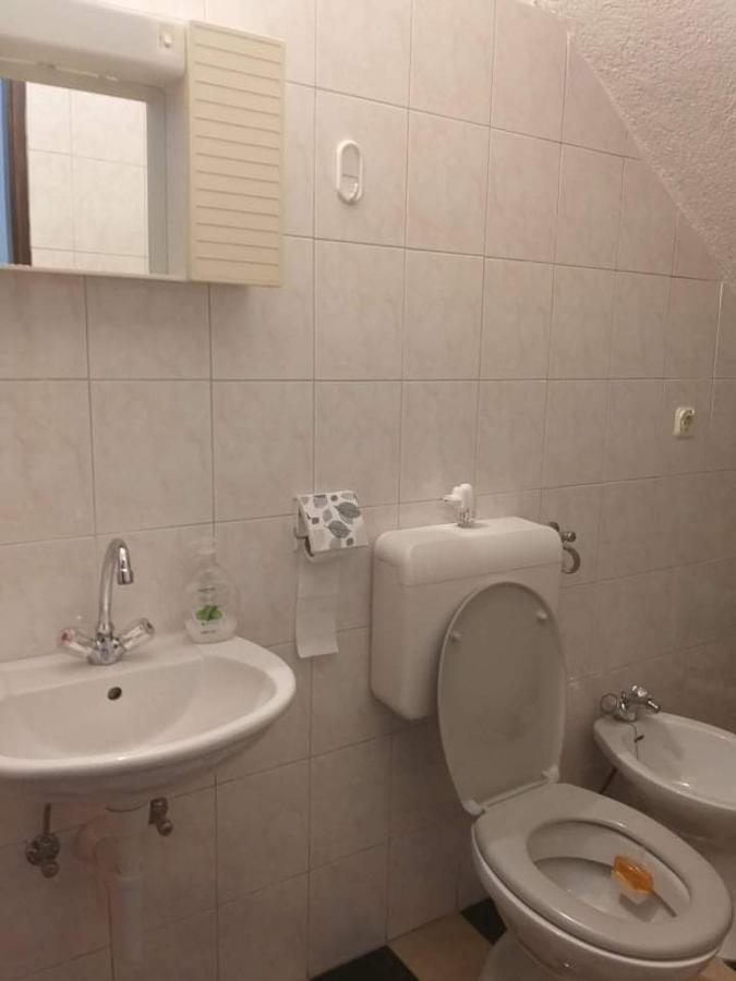 Dalibor Apartment เซนญ์ ภายนอก รูปภาพ