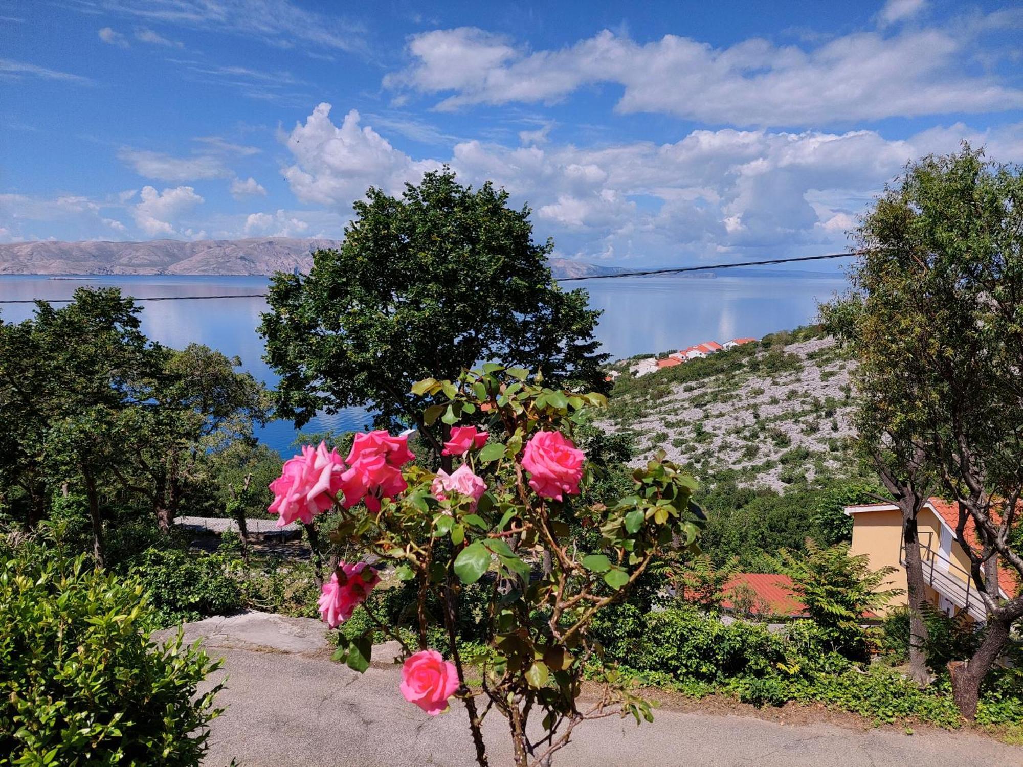 Dalibor Apartment เซนญ์ ภายนอก รูปภาพ